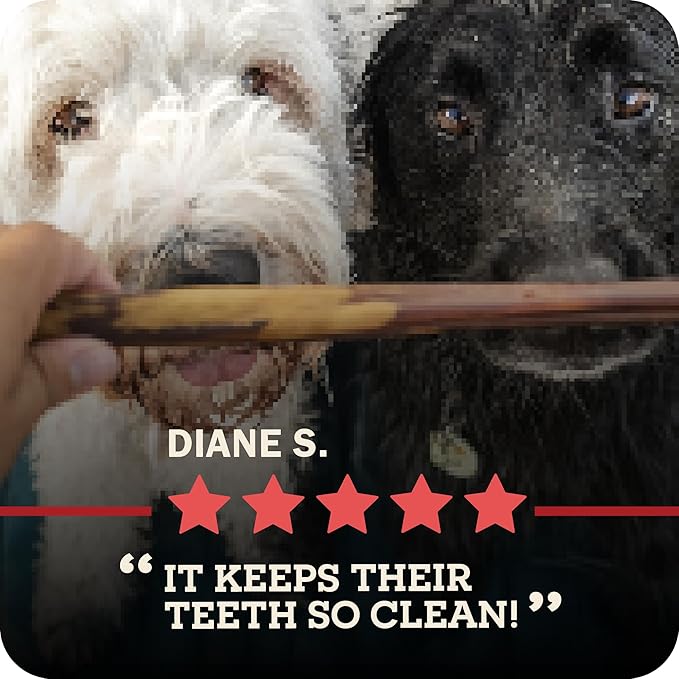 Redbarn Pet Products All Natural 8"-12" Bully Sticks for Medium/Large Dogs - Healthy Long Lasting Chews Variety Party Pack - 100% Beef Single Ingredient Low Odor Rawhide Free - 1lb