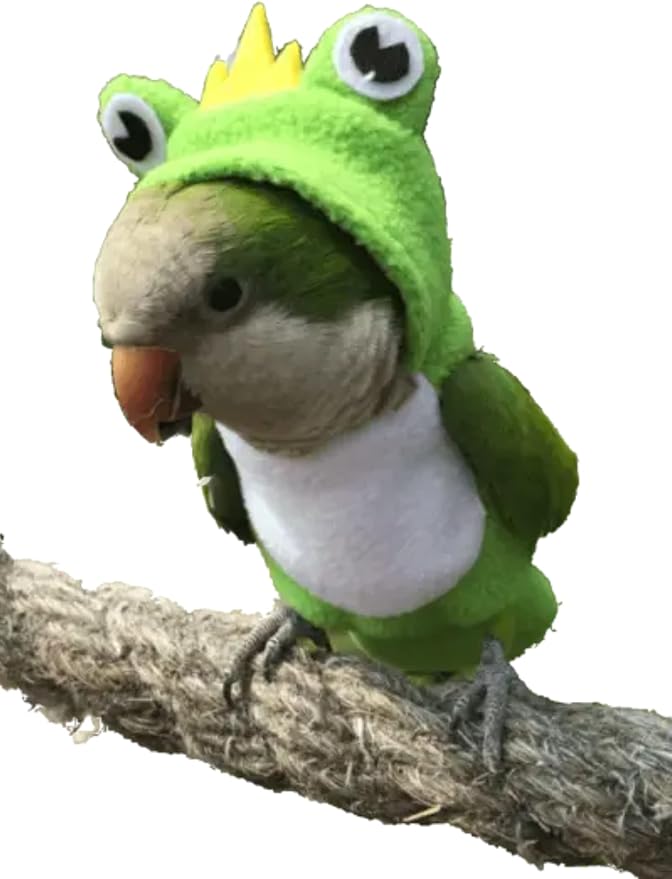 Bird Diaper Flight Suit Frog Shape Hoodie - Bird Clothes Cosplay Photo Prop for Parrots, Parakeet, Cockatiel & Sun Conure - Green with Diaper, Small