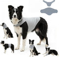 DAJIDALI® Dog & Cat Anxiety Vest & Spay Recovery Suit – Silent Calming Wrap for Surgery, Thunderstorms – Breathable Cone Alternative