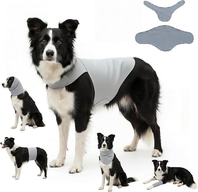 DAJIDALI® Dog & Cat Anxiety Vest & Spay Recovery Suit – Silent Calming Wrap for Surgery, Thunderstorms – Breathable Cone Alternative