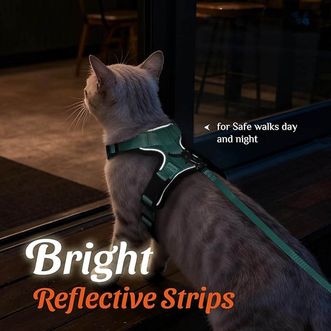 Dooradar Cat Harness and Leash Set, Escape Proof Safe Adjustable Kitten Vest Harnesses for Walking, Easy Control Soft Breathable Mesh Jacket with Reflective Strips for Cats, Green, XXS