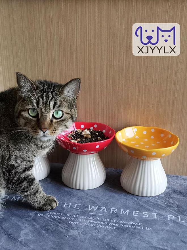 Ceramic Raised Mushroom Cat Bowl Set, Cute Elevated Whisker Friendly Dish for Food and Water, Red+Black 6" Wide for Adult Cats, Small Dog