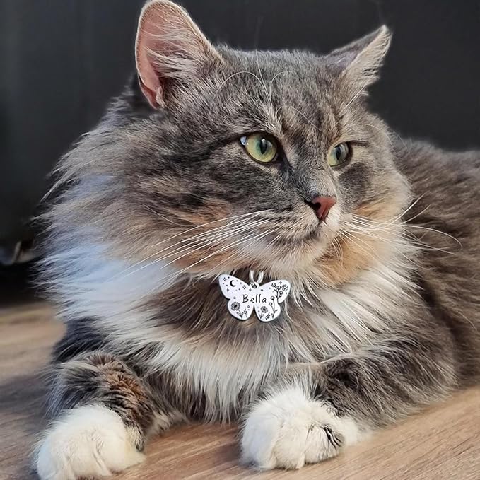 Personalized Dog Tags and Cat Tags, Stainless Steel Pet ID Tags, Collar Charm Engraved on Both Sides, up to 4 Lines of Custom Text, Various Patterns and Colors Options (Butterfly)