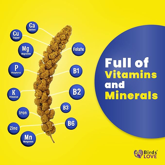 1lb Economy & Special Spray Millet for Birds – GMO-Free, No Stems (Only Edible Tops) – 100% Natural Sun-Dried Foraging Treat for Cockatiels, Lovebirds, Parakeets, Finches & Canaries