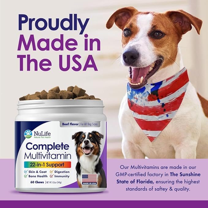 Dog Multivitamin Chewable - 22 in 1 Dog Vitamins and Supplements with Green Lipped Mussel & Omega 3 for Joints, Skin & Coat, Immune System - Senior & Puppy Multivitamin for Dogs - 60 Beef Chews