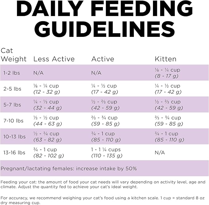 Go! Solutions Carnivore Chicken, Turkey + Duck Grain-Free Dry Cat Food, Our Highest-Protein Kibble Made with Real Meat & Fish, Cranberries for Urinary Health, for Kittens, Adults & Seniors, 3 lb Bag