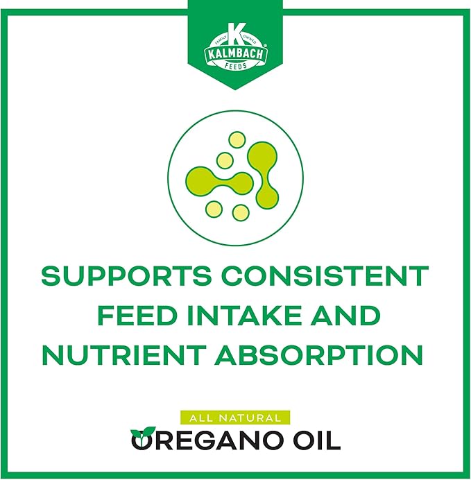 Oregano Oil Supplement for Poultry, 16 oz Bottle