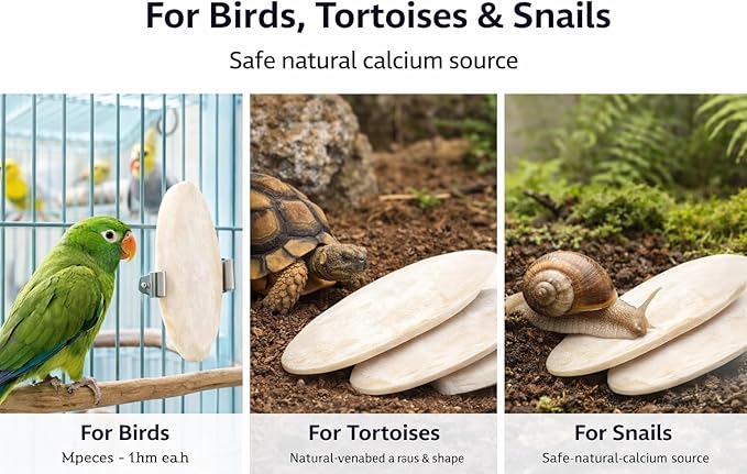 Birds LOVE 7.5-8" Cuttlebones for Birds – 100% Natural Sun-Dried Calcium Carbonate Mineral Supplement – for Parakeets, Budgies, Cockatiels, Finches & Canaries – 2 Pack with Holder – Made in Vietnam