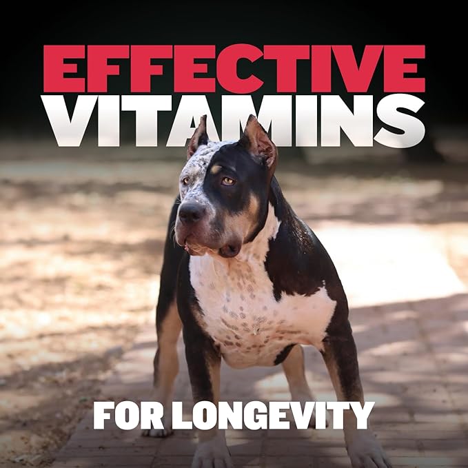 Bully Max Dog Chews & Multivitamin Treats for Puppy & Adult Dogs - 75 Soft Chews, Dog Supplements & Vitamins for All Breeds - Skin, Coat, Brain, Heart, Digestive Health, Immunity, Joint Support