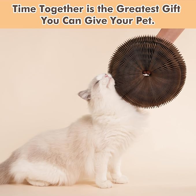 Kitty Kurlz Cat Scratching Toys for Indoor Cats - Magic Organ Interactive Cardboard Scratcher with 2 Bell Balls