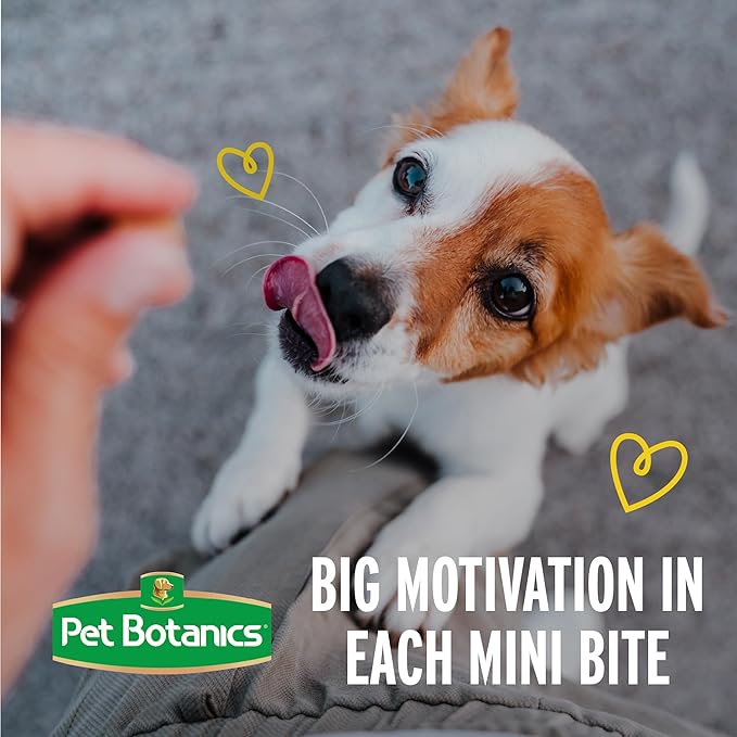 Pet Botanics 4 oz. Pouch Training Rewards Mini Soft & Chewy, Beef Flavor, with 200 Treats Per Bag, The Choice of Top Trainers