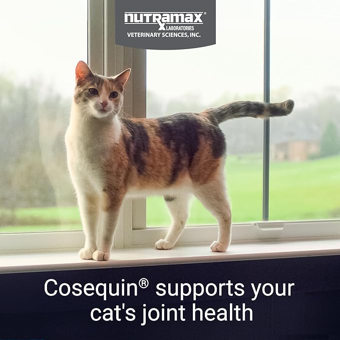 Nutramax Cosequin for Cats Joint Health Supplement, Contains Glucosamine for Cats, Plus Chondroitin, and Omega-3s, Supports Joint and Skin and Coat Health, Sprinkle Capsules, 80 Count
