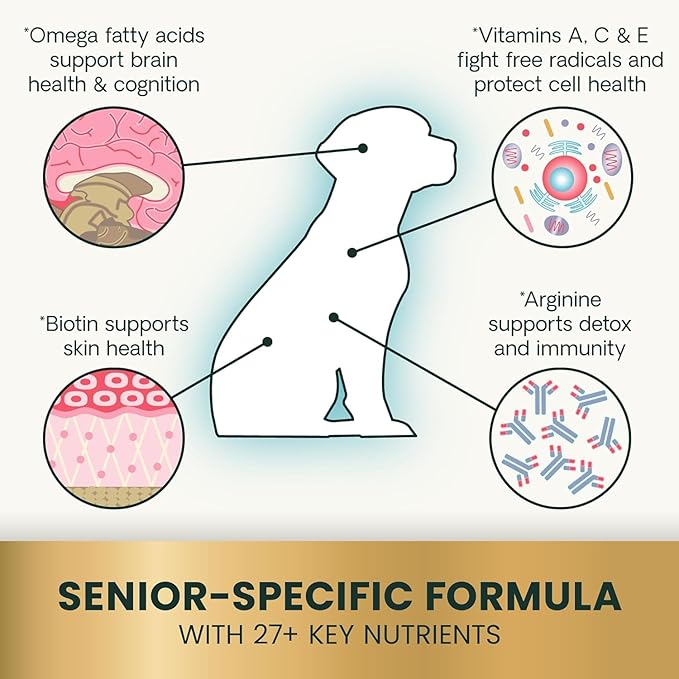 VetriScience Senior 27+ Active Health Chews, Canine Plus Daily Multivitamin for Senior Dogs, Balanced Vitamins, Minerals and Antioxidants, Healthy Aging and Wellness Support, Veggie, 60 Count