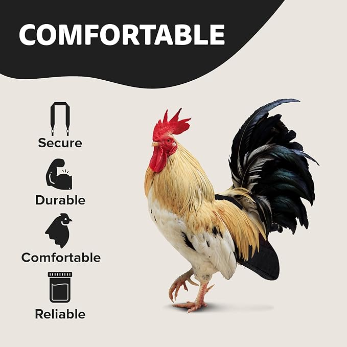 Hen Holster Starter Kit - Wrap-Around Duck Diaper w/Removable Liner & Fixed Tab - Durable, Secure Fit, Easy-to-Wear - Essential Duck Supplies for Real Ducks, Made in USA - Black, Large