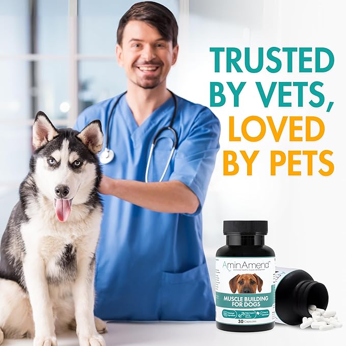 Muscle Support Dog Supplements for Large Breed (21lbs+) with CaHMB & Vitamin D3 – Supports Strength, Mobility & Daily Activity for All Ages & Senior Dog – (30 Capsules)