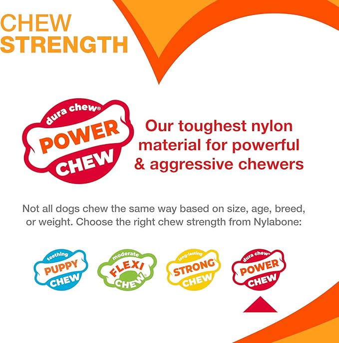 Nylabone Lobster Power Chew Toy for Dogs, Dog Toys for Aggressive Chewers, Filet Mignon Flavor, X-Large Dogs - 50+ lbs, 1 Count
