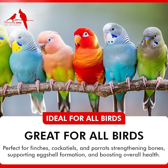 Morning Bird Thrive 3 Oz - Multi-Vitamin Bird Supplement Designed for Immune and Recovery Support - Formulated for Sick or Injured Birds - Protein Supplement and Energy Booster for All Adult Birds