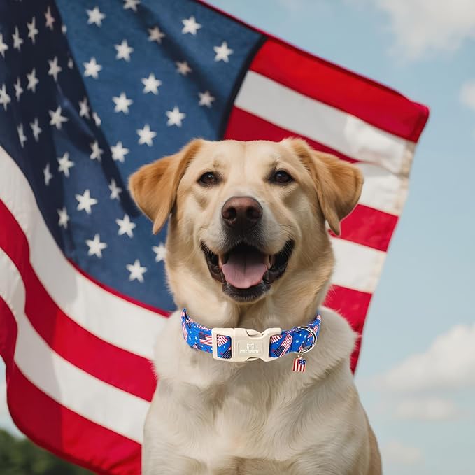 Maca Bates American Flag Basic Dog Collar with Safety Buckle 4th of July Patriotic Dogs Collars Adjustable Soft Blue 4 of 7 Independence Day Gift for Small Medium Large XL Boy Girl Male Female Puppy