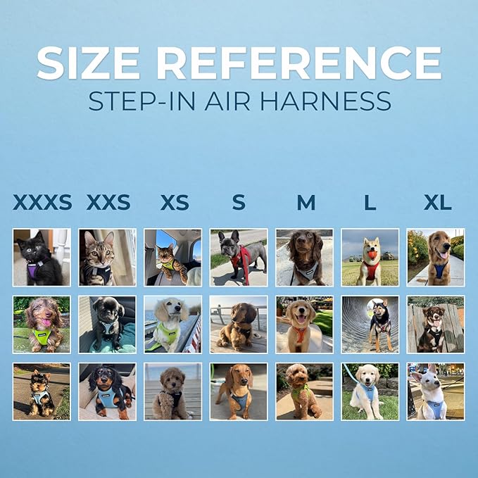 Best Pet Supplies Voyager Step-in Air Harness - All Weather Mesh, Reflective, No Pull Harness for Dogs, Cats - Secure with Hook & Loop Fastener, Buckle, Double D-Rings - Baby Blue, M