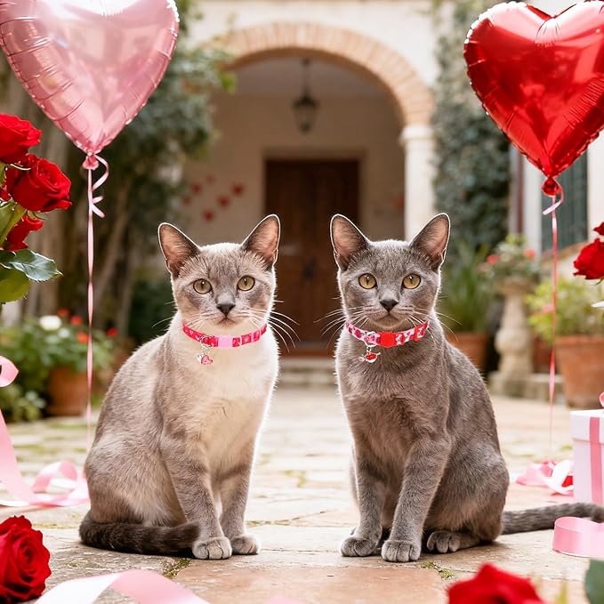 PUPTECK Valentine Breakaway Cute Cat Collar with Bell Charm for Kitty, 2 Packs Adjustable Kitten Collars Rose and Love Pattern, Pink, 7.8-11.8 in