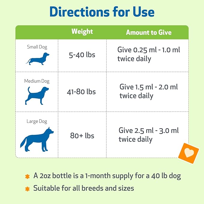 Pet Wellbeing Bilberry for Dogs - Eye & Vision Support with Antioxidants, Capillary Health, Retinal Support - NASC Certified & Vet-Formulated - 2 oz Liquid
