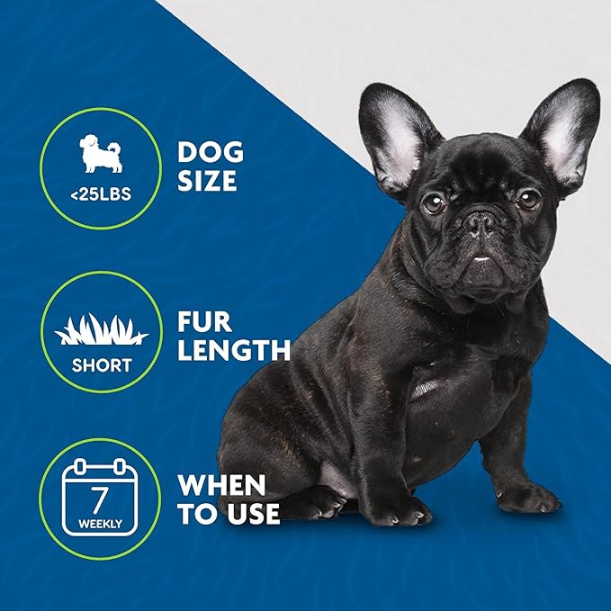 Small Dog Undercoat deShedding Tool, Short Hair, Reduces Loose Hair from Shedding