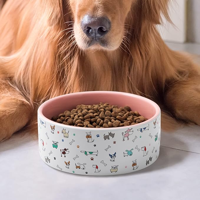 FE FUN ELEMENTS Ceramic Dog Bowls for Small Dogs, 16 Fl Oz Heavy Food and Water Bowl with Adorable Patterns (Small, Pink)