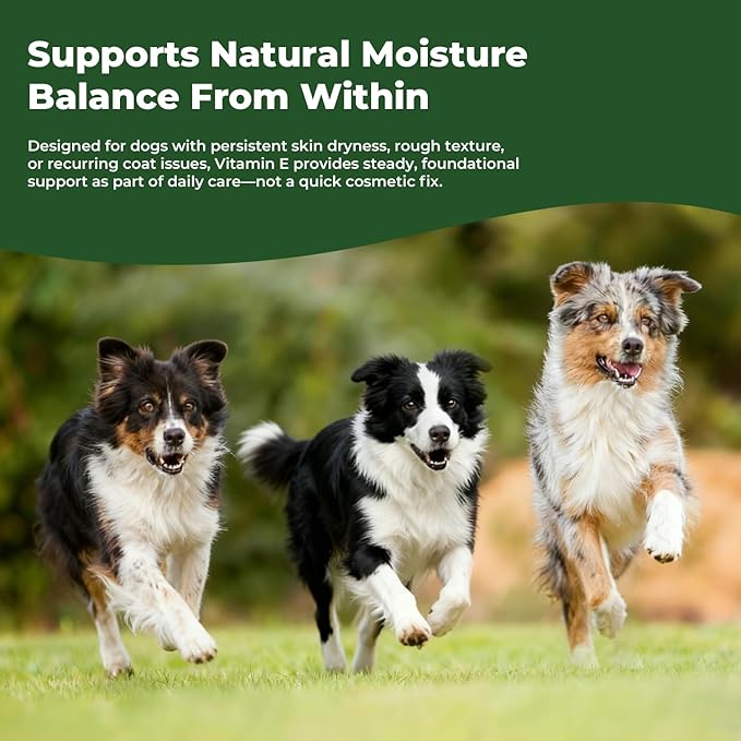 Vitamin E for Dogs, Liquid Vitamin E Oil for Skin & Coat Support, Supports Natural Moisture Balance & Cellular Health, Easy-to-Mix Drops, 2 fl oz (60 mL)