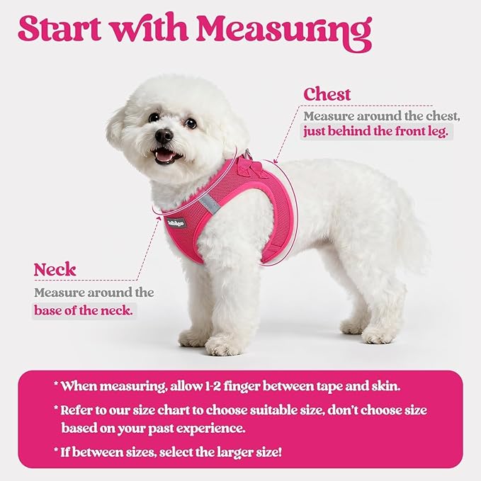 rabbitgoo Dog Harness Small Medium Sized and Leash Set, Step in Soft Light Puppy Vest, Breathable Mesh Pet Harness, Reflective for Safe Easy Walking, Rose Red L