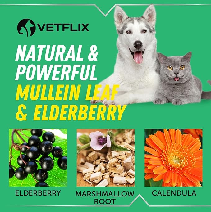 Cough Relief for Dogs & Cats - Made in USA - Kennel Cough & Asthma Relief - Mullein Leaf & Elderberry Blend - Dry, Wet & Barky Cough Relief - All Breeds & Sizes - 2 Fl Oz