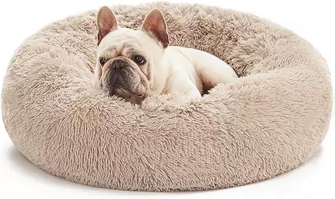 Washable Dog & Cat Bed for Ultra Large Small Medium Size Pet, Calming Donut Round Cute Warming Mat House Supply Indoor, 8 Sized Deal Necessity Essential Furniture for Boy Girl Puppy Kitten kitty