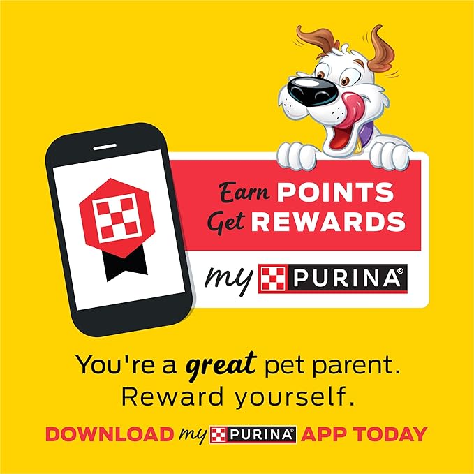Purina Beggin' Strips with Real Meat Dog Training Treats with Bacon and Cheese Flavors - 26 oz. Pouches,(Pack of 4)