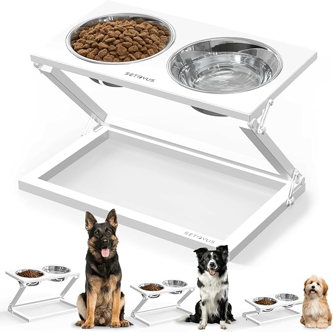 Elevated Dog Bowls, Adjustable Raised Dog Bowl Stand with 2 Stainless Steel Food Bowls 20°Tilted Water Bowls for Medium Small Sized Dogs (White, Medium)