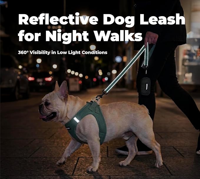 Best Pet Supplies Voyager Reflective Dog Leash or Collar with Neoprene Handle, for Small, Medium, and Large Breed Puppies, Cute and Heavy Duty for Walking, Running and Training - Moss Green (Leash), M