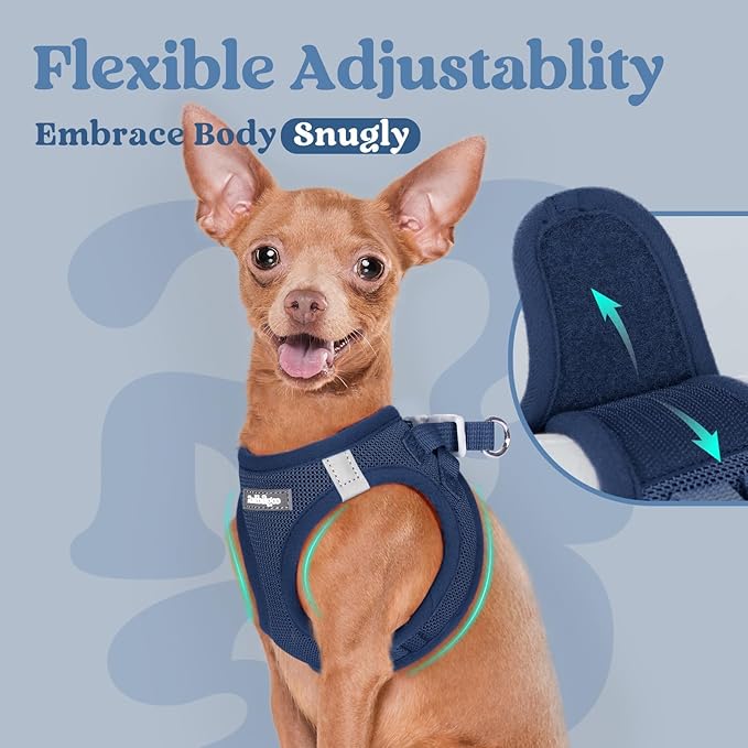 rabbitgoo Small Dog Harness, Step-in Soft Mesh Puppy Vest with Safety Buckle, Breathable Reflective Pet Harness for Large Dogs, Navy Blue XXL