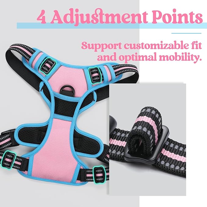 rabbitgoo Dog Harness No Pull with 2 Leash Clips, Adjustable Soft Padded, Reflective Oxford No Choke Pet Vest with Easy Control Handle for Large Dogs, Pink & Blue, L
