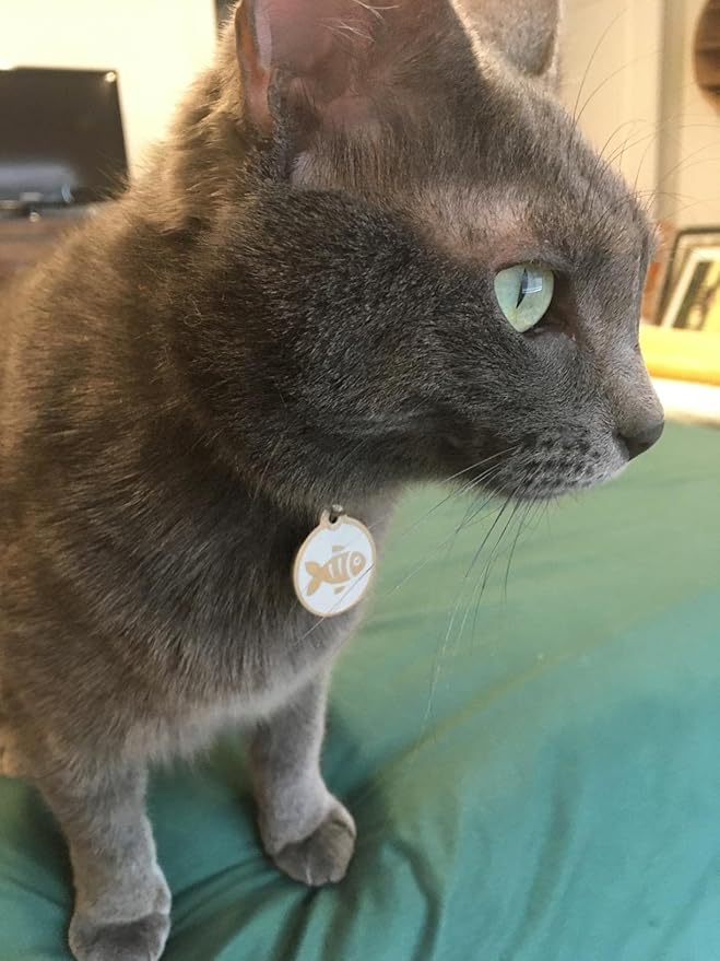 Stainless Steel Cat ID Tags - Engraved Personalized Cat Tags Includes up to 4 Lines of Text with Kitty Shape