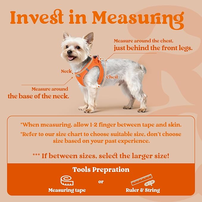 rabbitgoo Small Dog Harness, Step-in Soft Mesh Puppy Vest with Safety Buckle, Breathable Reflective Pet Harness for Extra Small Dogs, Orange XXXS