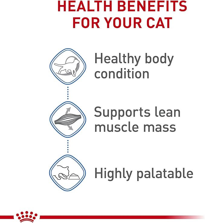 Royal Canin Feline Care Nutrition Weight Care Adult Thin Slices in Gravy Cat Food, 3 oz (Pack of 6)
