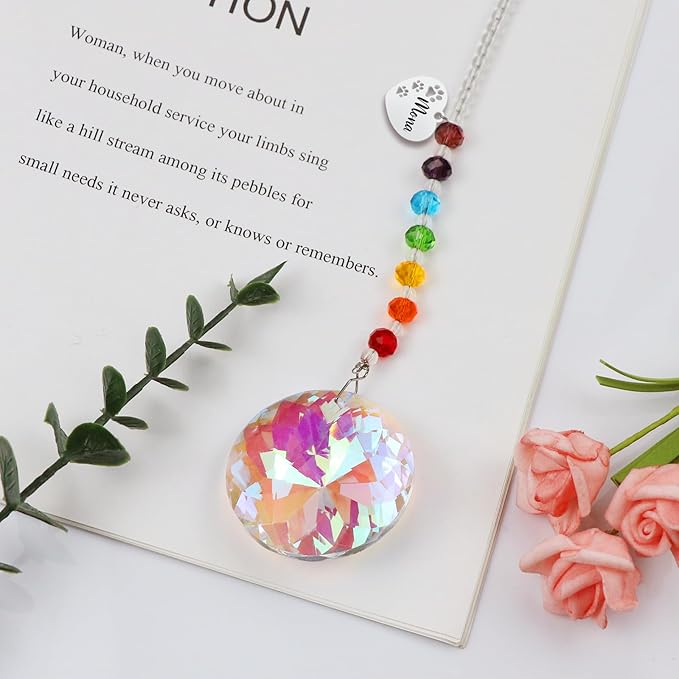 free-space Rainbow Bridge Pets Personalized Crystal Light Catcher Cat/Dog Keepsake Pet Loss Sympathy Gift (Round)