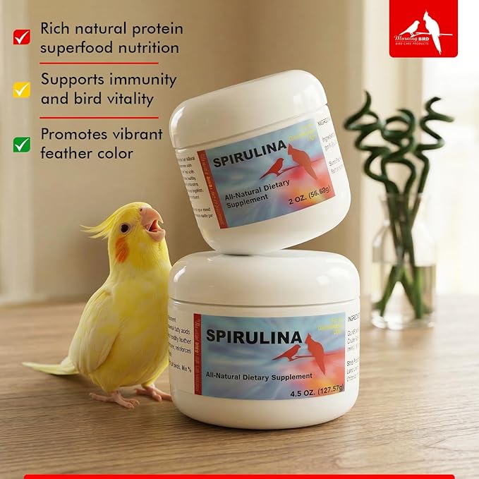 Morning Bird Spirulina 4.5 oz – Organic Superfood Supplement for Birds – Rich in Vitamins, Protein & Amino Acids – Ideal for Parakeets, Cockatiels, Budgies, Finches, Canaries & Parrots