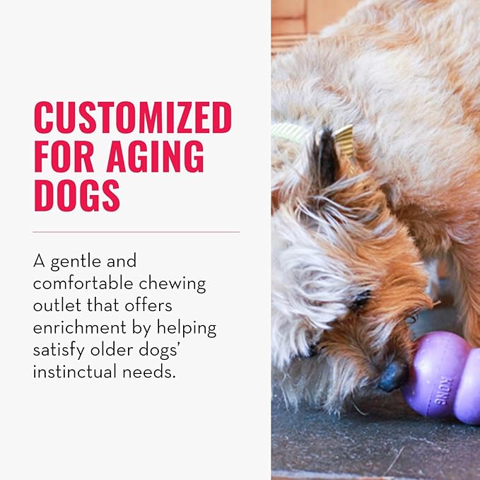 KONG Senior - Dog Toy with Gentle, Natural Rubber - Durable Dog Toy for Older Dogs - Use Treats with Stuffable Chew Toy - Treat Toy for Chewing & Fetching - for Small Dogs