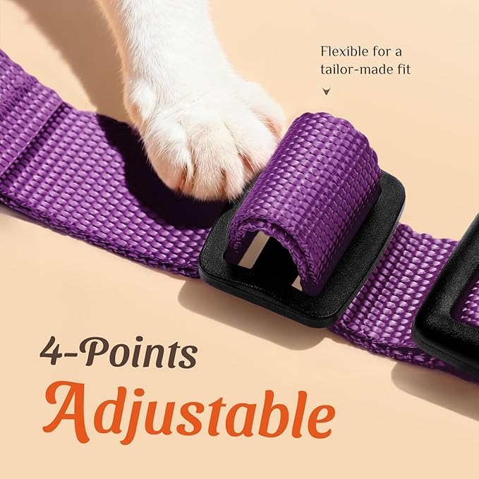 Dooradar Cat Harness and Leash Set, Escape Proof Safe Adjustable Kitten Vest Harnesses for Walking, Easy Control Soft Breathable Mesh Jacket with Reflective Strips for Cats, Purple, XXS