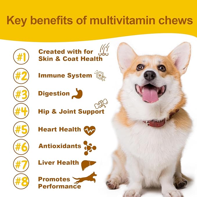 Maximum Support Daily Dog Multivitamin – Advanced Care Formula for Fast Relief of Hip & Joint, Skin & Coat, Immune & Allergy Health – Glucosamine, Chondroitin, Probiotics & Omega Fish Oil – 90 Chews