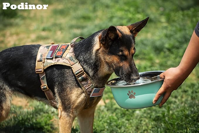 Large Dog Water Bowl 2 Pack, 0.75 Gallon 96oz Stainless Steel Metal Dog Food Bowl for Medium Large Dogs, Aqua