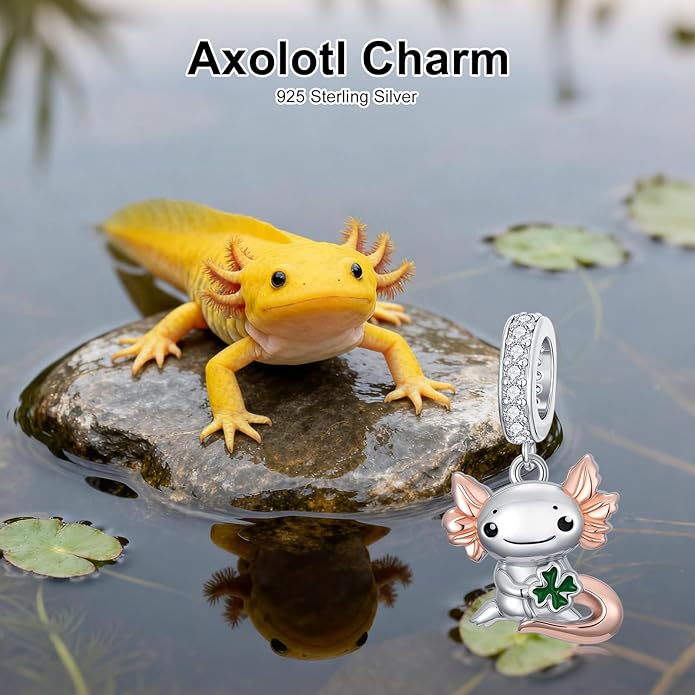 SIMONLY Animal Charms for Bracelets 925 Sterling Silver Highland Cow/Axolotl/Dragon/Dog/Cat Charms Animal Beads for Jewelry Making for Women Christmas Mothers Day Gifts