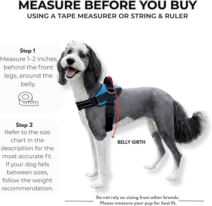 ShawnCo Essential Dog Harness, No-Pull Pet Vest with 3 Leash Clips, No Choke, Reflective, Adjustable and Padded, for Easy Walking and Training for Small, Medium and Large Dogs (ICY Lilac, L)