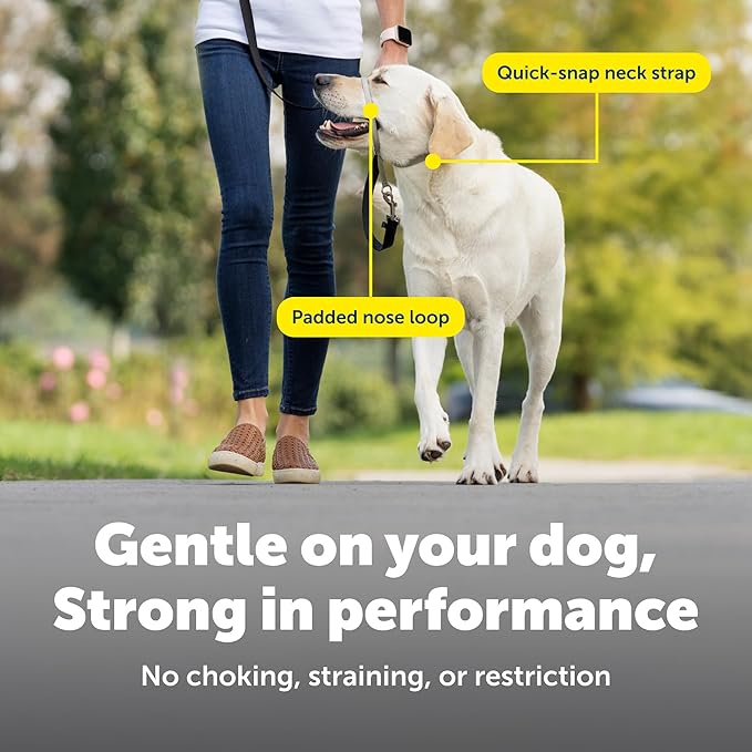 PetSafe Gentle Leader Headcollar No-Pull Dog Collar - Helps Improve Walks - Durable Nylon Construction - Padded Nose Loop - Adjustable Fit - Comfort Walking Halter - Small, Royal Blue