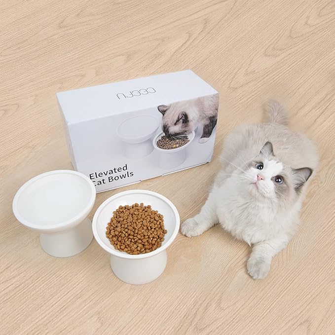 2 Elevated Ceramic Cat Bowls Extra Wide for Food & Water – Whisker Fatigue Shallow Food Dish, Lead & Cadmium-Free, Raised Height for Cats and Dogs, Two Different Depth Bowls, White