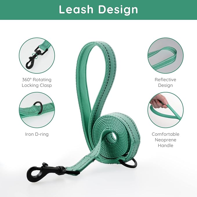 BELLA & PAL Step in Vest Harness for Small and Medium Dogs, No Pull Small Dog Harness with Leash Set, Comfortable Air Mesh Dog Vest Harness with Reflective Strip (Emerald, L)